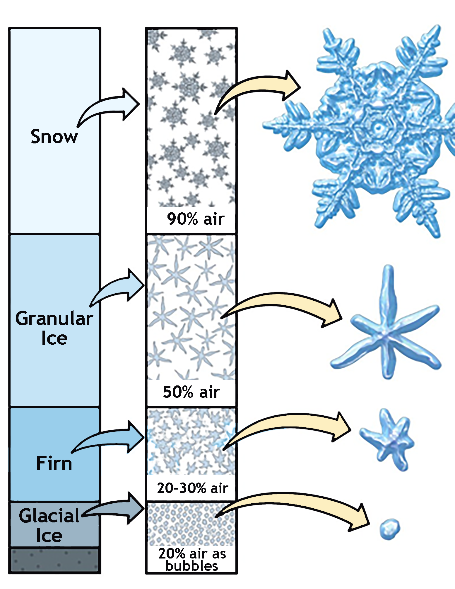 Glaciers National Snow and Ice Data Center